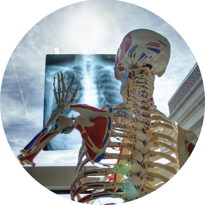 Points gachette - Stéphane MANGIN Guérisseur, magnétiseur. Meximieux, Ain Rhône, Isère