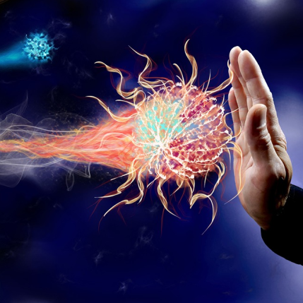 defenses immunitaires prestation