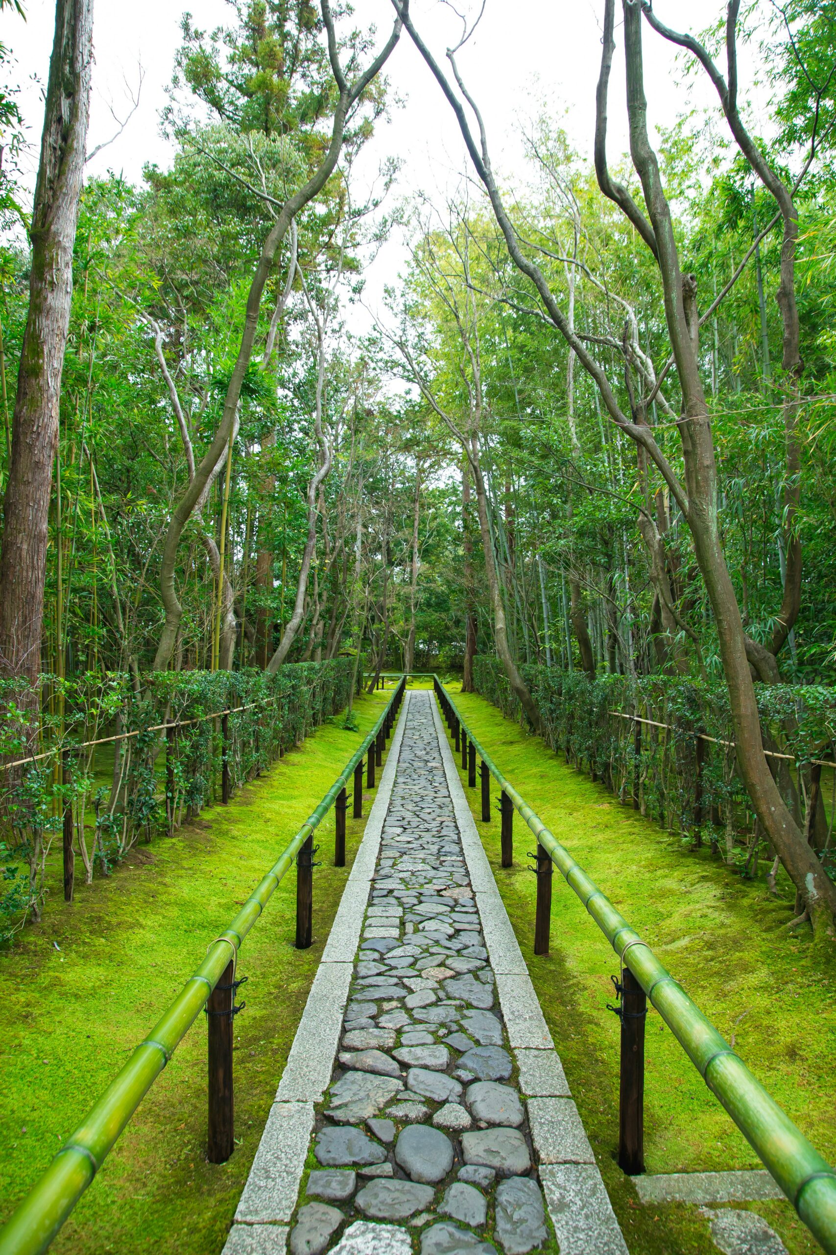 Empty stone walkway with bamboo railings located in green tropical garden on territory of ancient Daitoku ji Buddhist temple